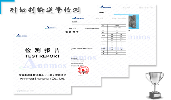 耐切割输送皮带检测报告