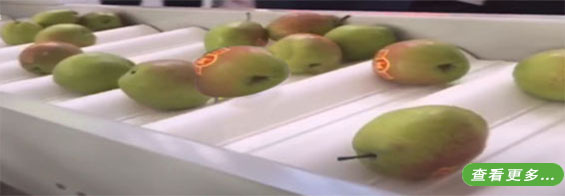 食品输送带价格定制